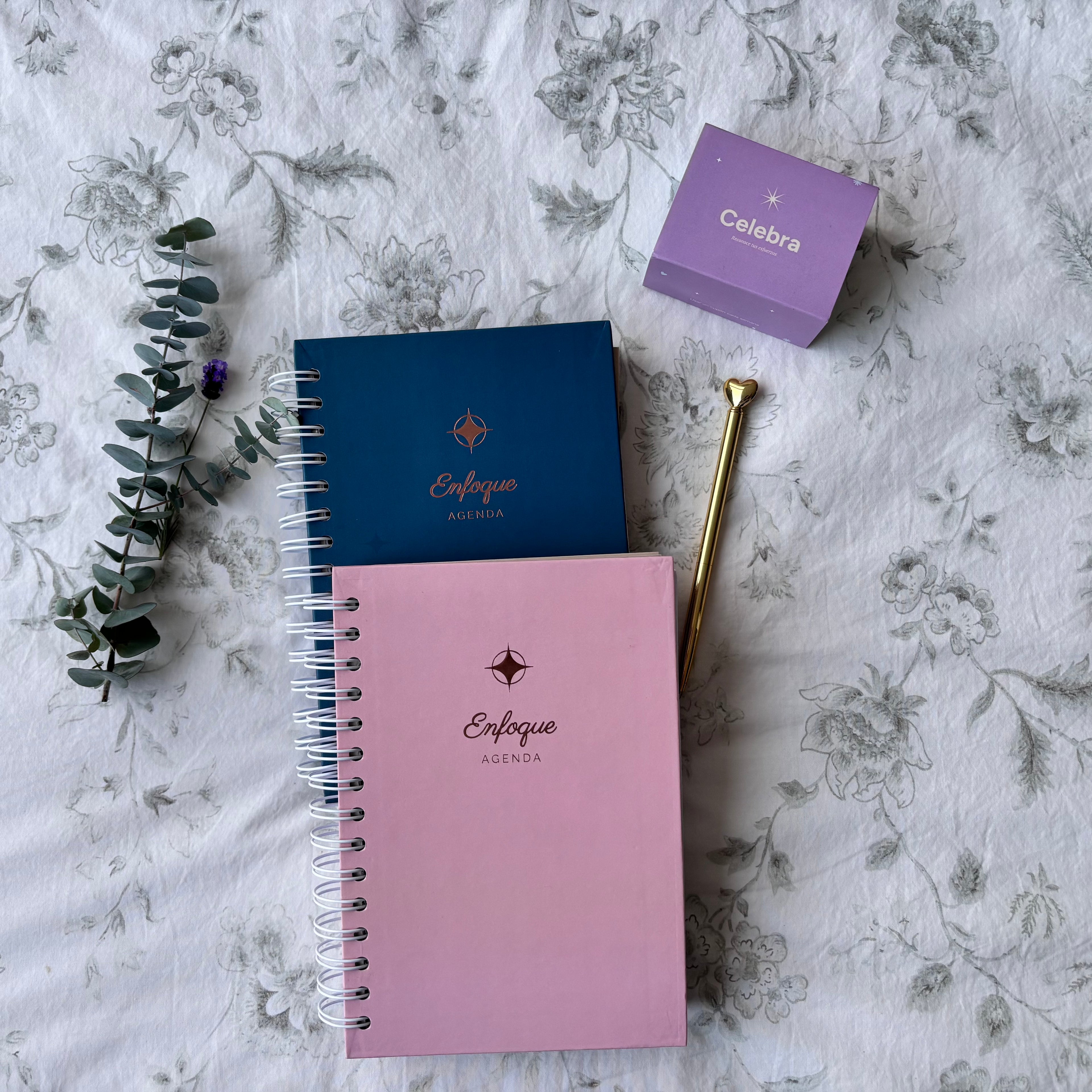 Agenda para enfocarte cada semana