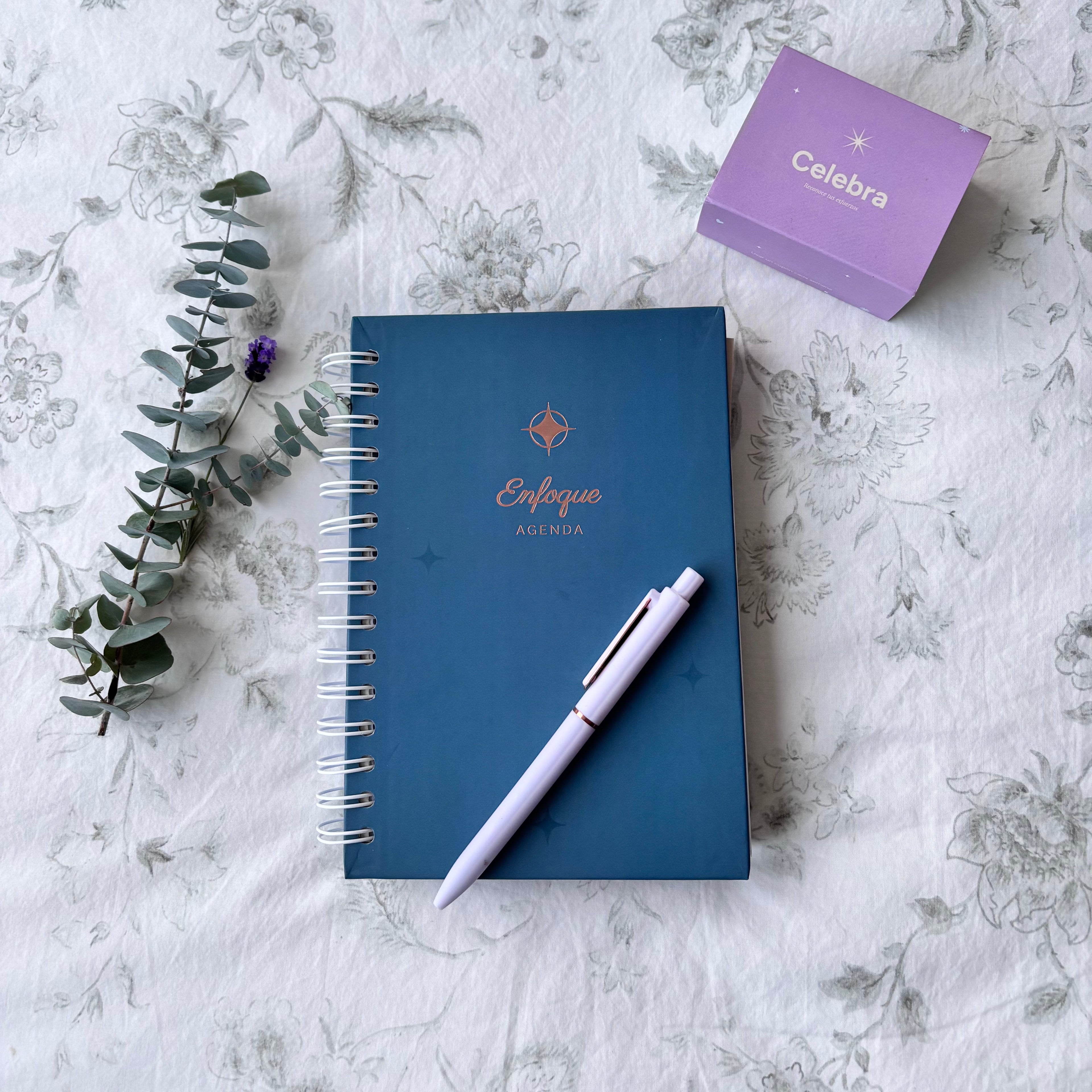 Agenda para enfocarte cada semana